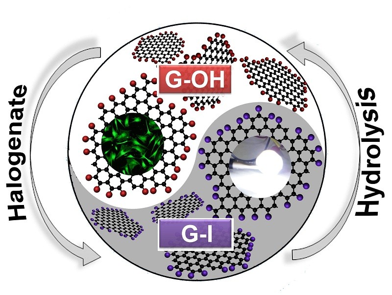 石墨烯抗菌抗病毒研究进展